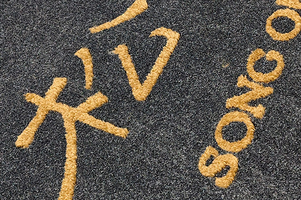 Chaoerka Plush Entrance Logo Mats