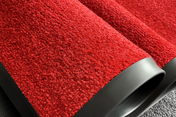 Chaoerka Tuft Carpet Entrance Mats